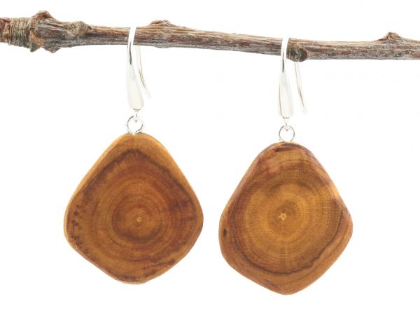 Ohrringe Holz natürliche Optik Pflaumenholz